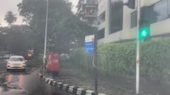 Cyclone Tauktae : प्रसिद्ध हाॅटेल मरिन प्लाझाच्याकंपाऊंड वाॅलवर भलंमोठं झाड पडलं, जीवितहानी नाही