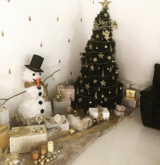 उनके लिविंग रूम में ओपन वुड आलमारी हैं, जिसे फूलों के छोटे-छोटे पौधों और फैमिली पिक्चर्स से सजाया गया है.