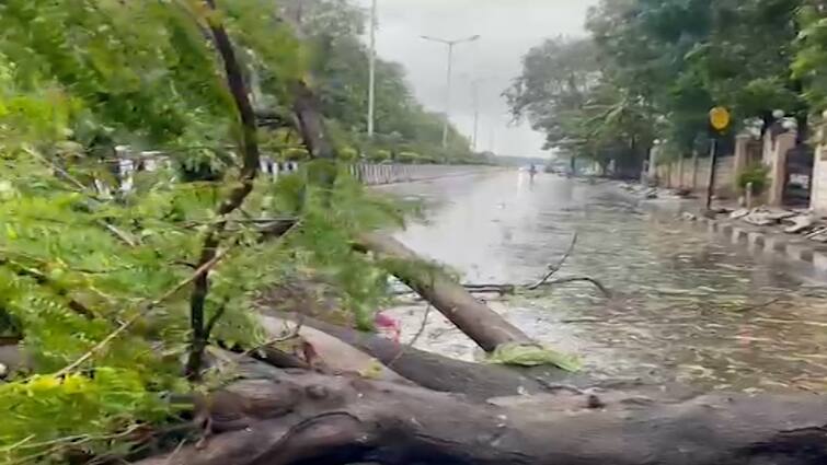 Cyclone Tauktae :  man died after tree collapse in Tapi Cyclone Tauktae : તાપીમાં ઝાડ પડતા બાઇક પર જઈ રહેલી વ્યક્તિનું મોત