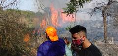 Fire in Chandigarh: ਚੰਡੀਗੜ੍ਹ ਦੇ ਜੰਗਲ 'ਚ ਲੱਗੀ ਅੱਗ, ਵੇਖੋ ਤਸਵੀਰਾਂ