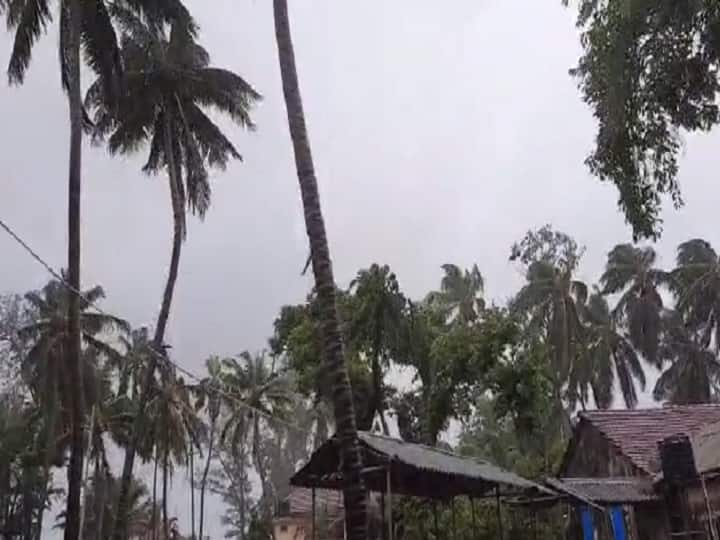 raigad district administration announced the damage caused by the cyclone tauktae Cyclone Tauktae : तोक्ते चक्रीवादळामुळे रायगड जिल्ह्याचं किती नुकसान? प्रशासनाकडून माहिती जाहीर