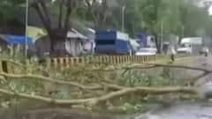 Celebrities share visuals of Cyclone Tauktae | Hot News Full (May 17, 2021)