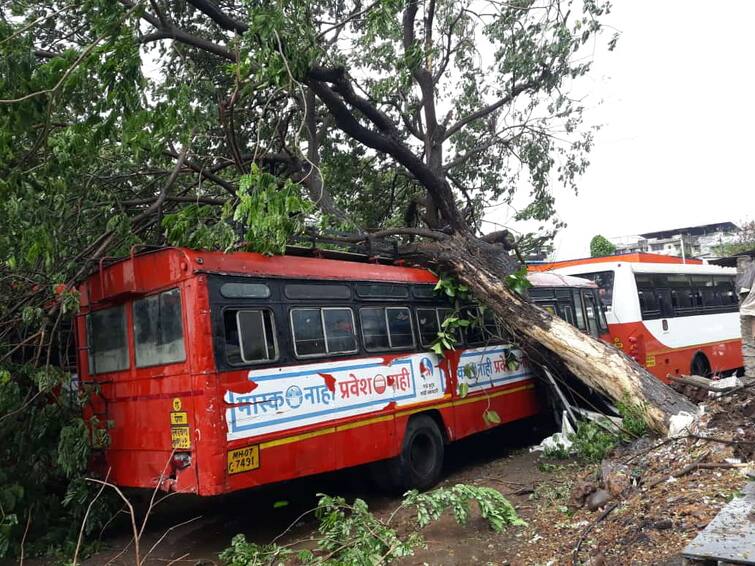 Cyclone Tauktae sindhudurg district Cyclone Tauktae caused a loss of about Rs 5 crore 77 lakh Cyclone Tauktae Update : चक्रीवादळामुळे सिंधुदुर्ग जिल्ह्यात 5 कोटींहून अधिक नुकसान, सर्वात मोठा फटका महावितरणला