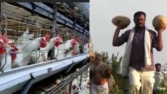 Farmer Loss : अमरावतीत शेतकऱ्यांना मोफत वाटावं लागतंय पीक,लॉकडाऊनमुळे व्यापाऱ्यांची शेतकऱ्यांकडे पाठ