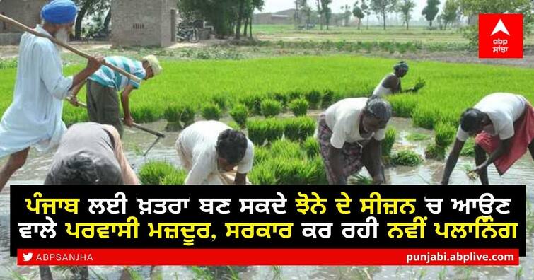 Migrant laborers coming in paddy season could be 'threat' to Punjab, new planning by government ਪੰਜਾਬ ਲਈ 'ਖ਼ਤਰਾ' ਬਣ ਸਕਦੇ ਝੋਨੇ ਦੇ ਸੀਜ਼ਨ 'ਚ ਆਉਣ ਵਾਲੇ ਪਰਵਾਸੀ ਮਜ਼ਦੂਰ, ਸਰਕਾਰ ਕਰ ਰਹੀ ਨਵੀਂ ਪਲਾਨਿੰਗ