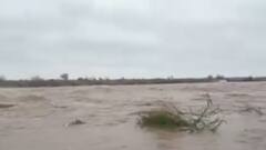 અમરેલીની શેત્રુંજી નદીમાં આવ્યું ઘોડાપૂર, ભારે વરસાદથી નદી બે કાંઠે વહેતી થઇ