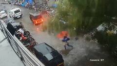 काळजाचा ठोका चुकवणारी दृश्य,विक्रोळी पोलीस ठाण्यासमोरचं झाडं कोसळलं, दैव बलवत्तर म्हणून महिला बचावली