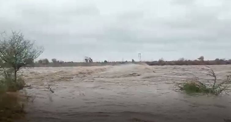 Cyclone Tauktae: Due to heavy rain flood in shetrunji river of Amreli details inside Cyclone Tauktae :  સૌરાષ્ટ્રની કઈ મોટી નદીમાં આવ્યું ઘોડાપૂર ? જાણો મોટા સમાચાર