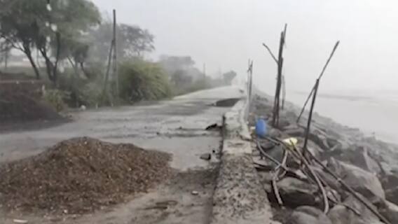 Surat: વાવાઝોડાની અસર શરૂ, ભારે પવન સાથે વરસાદ વરસતા વૃક્ષો થયા ધરાશાયી,જુઓ વીડિયો