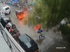 दैव बलवत्तर म्हणून... विक्रोळीत भलंमोठं झाड कोसळलं, महिला थोडक्यात बचावली!