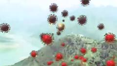 Uttarakhand में प्रशासन की चुप्पी पर उठ रहे सवाल, कैसे निपटेगी कोरोना से देवभूमि?