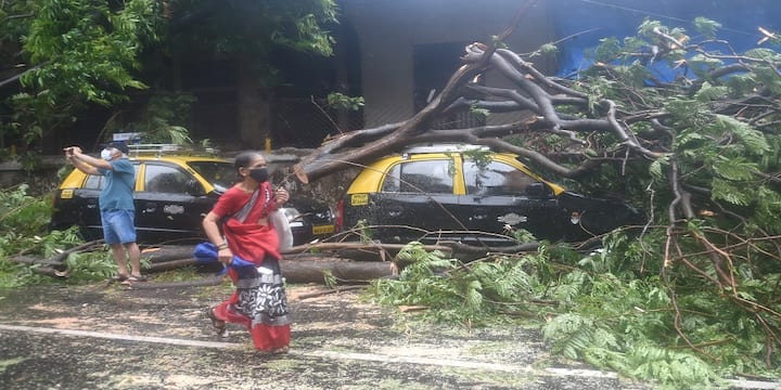 বিভিন্ন এলাকায় গাছ ও বিদ্যুতের খুঁটি ভেঙে পড়ে। গাড়ির ওপর পড়ে থাকতে দেখা যায় গাছের ডালপালা।