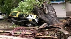 Cyclone Tauktae : 'तोक्ते' चक्रीवादळामुळे मुंबईत झाडं कोसळून अनेक वाहनांचं मोठं नुकसान