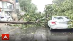 Surat: બારડોલીમાં રસ્તા પરથી પસાર થતી કાર પર વૃક્ષ ધરાશાયી થયુ, જુઓ વીડિયો