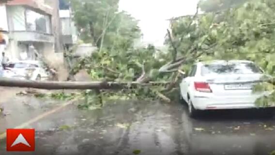 Surat: બારડોલીમાં રસ્તા પરથી પસાર થતી કાર પર વૃક્ષ ધરાશાયી થયુ, જુઓ વીડિયો