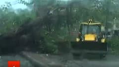 મહુવામાં તૌકતે વાવાઝોડાનું તાંડવ, અનેક વૃક્ષો થયા ધરાશાયી, અનેક વિસ્તારોમાં ભરાયા પાણી