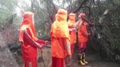 નવસારીમાં ભારે વરસાદથી લક્ષ્મી ટોકીઝ વિસ્તારમાં વૃક્ષ ધરાશાયી, જુઓ વીડિયો