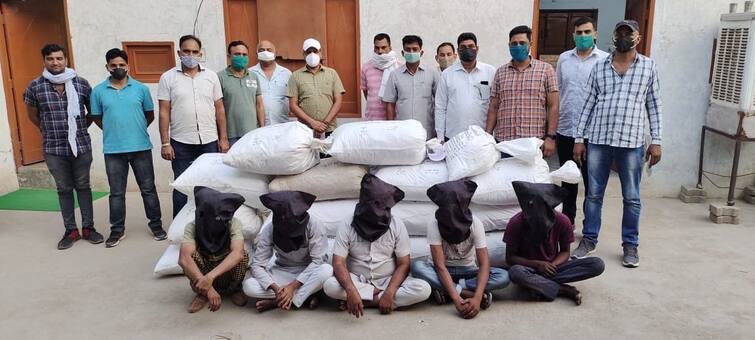 Haryana: 145 kg doda post seized in Sirsa, five held ਤਰਬੂਜ ਹੇਠਾਂ ਲੁੱਕਾ ਕੇ ਲੈ ਜਾ ਰਹੇ ਸੀ ਨਸ਼ੇ ਦੀ ਖੇਪ, ਹਰਿਆਣਾ ਪੁਲਿਸ ਨੇ ਕੀਤੀ ਬਰਾਮਦ