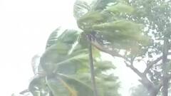 Cyclone Tauktae: Gujarat and Mumbai suffer due to heavy rainfall, uprooted trees