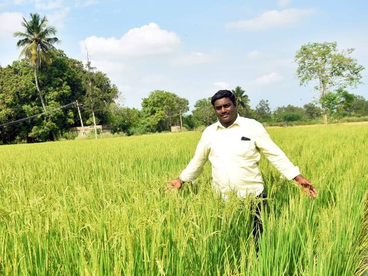 Profitable graduate youth in nature farming ‛இயற்கை தான் காப்பாத்துச்சு’ விவசாயத்தில் சாதித்த பட்டதாரி இளைஞர்!