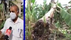 ખેડૂતોની આવક શૂન્ય પરંતુ નુકસાની લાખોમાં, કોણ કરશે જગતના તાતને સહાય