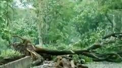 मौत से लड़कर जिंदा रहने की कहानी, उफनती लहरों में मौत से हुआ Encounter | Bharat Ki Baat