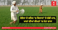 ਕੋਰੋਨਾ ਦੇ ਕਹਿਰ 'ਚ ਕਿਸਾਨਾਂ 'ਤੇ ਵੱਡੀ ਮਾਰ, ਖਾਦਾਂ ਦੀਆਂ ਕੀਮਤਾਂ 'ਚ ਮੋਟਾ ਵਾਧਾ