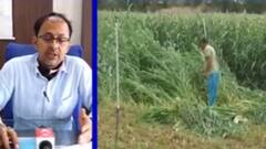 તૌકતે વાવાઝોડાથી બનાસકાંઠામાં ઉનાળુ પાકને ભારે નુકસાન, વળતર આપવાની ખેડૂતોની માંગ