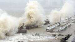Cyclone Tauktae: Death toll in Gujarat rises to 45; 2 major solar power plants damaged