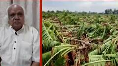 ખેડૂતને હતું કે આ વખતે કેરીનો મબલખ પાક ઉતરશે ને હું ન્યાલ થઈ જઈશ પણ પહેલાં માવઠા ને હવે વાવાઝોડાએ પથારી ફેરવી દીધી.....