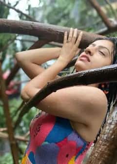 Deepika Singh: তওতের দাপটে ভেঙে পড়া গাছের সামনে নাচ, সোশ্যাল মিডিয়ায় সমালোচনায় বিদ্ধ অভিনেত্রী