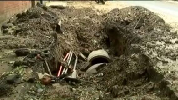 વડોદરામાં પ્રિમોનસૂન કામગીરીની ખૂલી પોલ, 110થી વધુ વૃક્ષો થયા ધરાશાયી