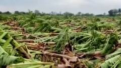 તૌકતે વાવાઝોડાએ રડાવ્યા ખેડૂતોને, રાજ્યમાં પાકને કેટલું થયું નુકસાન?,જુઓ વીડિયો