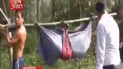 Covid Updates: বাঁশে ঝুলিয়ে হাসপাতালের পথে রোগী, বিডিওর উদ্যোগে হল করোনা পরীক্ষা