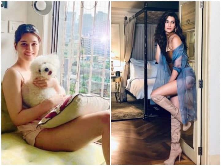 एक्ट्रेस कृति सेनन ने बहुत कम वक्त में बॉलीवुड में अपनी एक अलग पहचान बना सी है. इन दिनों लॉकडाउन के चलते कृतिअपनी फैमिली के साथ क्वालिटी टाइम स्पेंड कर रही हैं. वो सोशल मीडिया पर भी काफी एक्टिव रहती हैं. आज हम आपको उनके मुंबई वाले शानदार घर की कुछ झलकियां दिखाने जा रहे हैं.