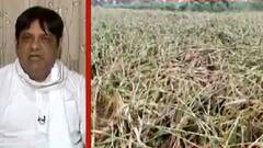 ખેડૂતોને 500 કરોડનું નુકસાન થયું છે...આટલો લાચાર, આટલો નિરાશાવાળો ખેડૂત મેં કદી જોયો નથી...સરકાર તરફથી મળતી સહાય નજીવી છે....