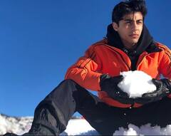 शाहरुख खान के बेटे की तस्वीरें हो रही हैं इंटरनेट पर वायरल, करियर को लेकर हुआ बड़ा खुलासा