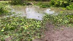 અત્યારે ખેડૂતોને વીસ હજાર કરોડ રૂપિયા કરતાં વધારેનું નુકસાન ગયું છે, સરકારે તાત્કાલિક સહાય અંગે વિચારવાની જરૂર છે કેમ કે........