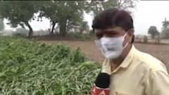 ઉત્તર ગુજરાત ખેડૂતોએ આંસુઓથી દર્શાવી પાયમાલી