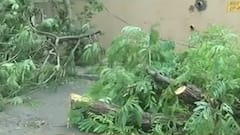 Ahmedabad: પ્રિ મોનસૂન કામગીરીની ખૂલી પોલ,શું દર વર્ષની જેમ આ વર્ષે પણ લોકો કરશે હાલાકીનો સામનો?