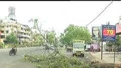 Vadodara:તંત્રની પ્રિ મોનસૂન કામગીરીની ખૂલી પોલ,કેટલા વૃક્ષ થયા ધરાશાયી?,જુઓ વીડિયો