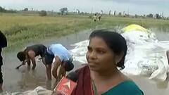 ગુજરાતના ખેડૂતની વેદનાઃ સરકાર તો શું સહાય કરશે ? ને જે કરશે એ પણ અમે તો અત્યારે દેવામાં જ ડૂબી ગયા ને ?