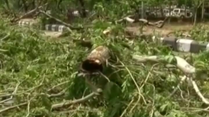 190 agricultural scientists visit the affected district cyclone tauktae વૃક્ષો-ઝાડ પૂન: સ્થાપિત કરવા ખેડૂતોને માર્ગદર્શન  આપવા 190  કૃષિ વૈજ્ઞાનિકો અસરગ્રસ્ત જિલ્લાઓમાં જશે 