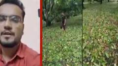 કેરીનો પાક પડી ગયો છે ને તેનો લાભ લેવા પ્લાન્ટવાળા બજારમાં આવી ગયા છે, 20 કિલોના 150 રૂપિયા અત્યારે આપે છે.....આ ભાવ કશું ના કહેવાય...