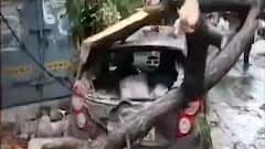 Top 100: Cyclone Tauktae kills 45 in Gujarat