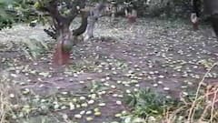 હવે લોકો ખેતી કરવા માંગતા નથી, સવાલ એ છે કે હવે ખેતી કેમ પોષાતી નથી ? ઉદ્યોગોને પેકેજ અપાતાં હોય તો ખેડૂતને કેમ નહીં ?