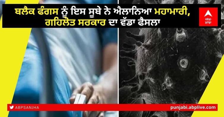 Coronavirus Update: black fungus infection declared an epidemic in Rajasthan Black Fungus Declared Epidemic: ਬਲੈਕ ਫੰਗਸ ਨੂੰ ਇਸ ਸੂਬੇ ਨੇ ਐਲਾਨਿਆ ਮਹਾਮਾਰੀ, ਗਹਿਲੋਤ ਸਰਕਾਰ ਦਾ ਵੱਡਾ ਫੈਸਲਾ