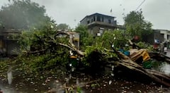 Cyclone Tauktae :અમદાવાદમાં વાવાઝોડાએ કહેર મચાવ્યા બાદ સામે આવી તસવીરો, અનેક વાહનોનો વળી ગયો સોથ