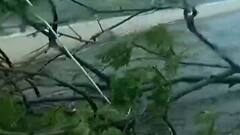 Cyclone Tauktae की हिंदुस्तान में विनाशलीला, तस्वीरों में देखिए | High Alert