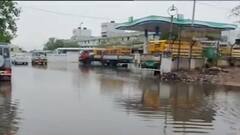 તૌકતે વાવાઝાડોએ સાબરકાંઠા જિલ્લાને કર્યો પાણી પાણી, કેટલા વૃક્ષ થયા ધરાશાયી?,જુઓ વીડિયો